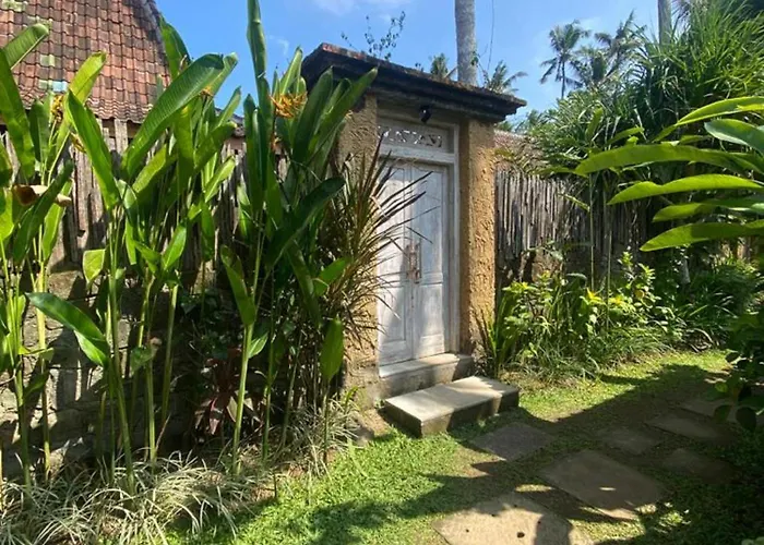 Sarini